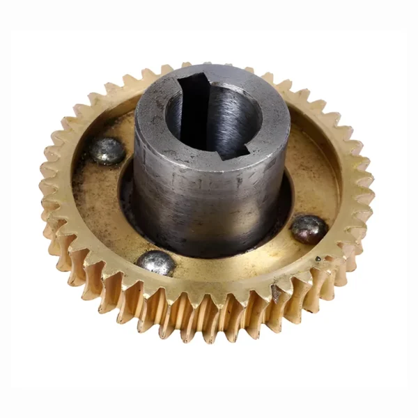 Worm Gear